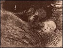 kollwitz_9111