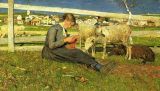 Segantini_8881